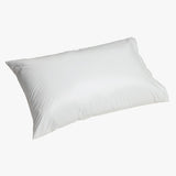 Stayfresh Pillow